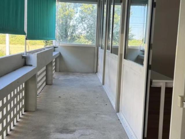 Apartment mieten in Riehen, Basel-Stadt
