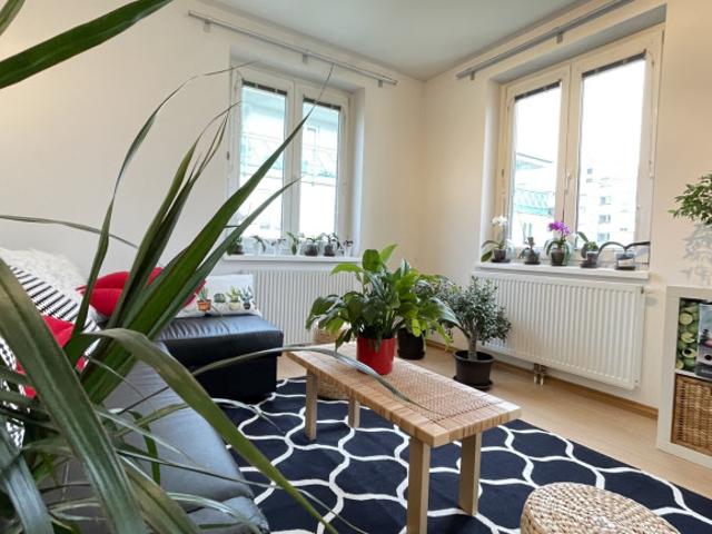 Wohnung kaufen in Wiener Neudorf, Niederösterreich