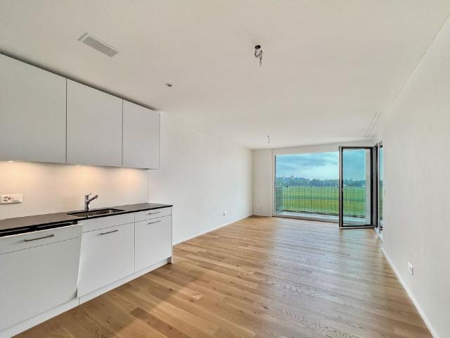 Apartment mieten in Amriswil, Thurgau