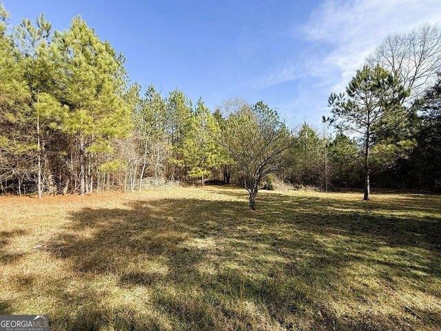 Land for sale in Elbert, Georgia