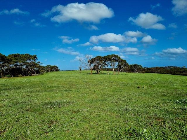 Cottage for sale in Newland, South Australia