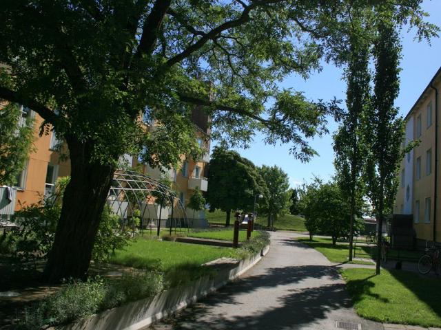 Lägenhet hyra i Visby, Gotland