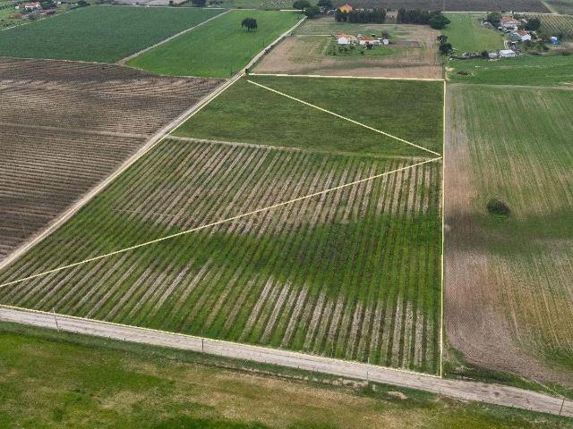 Terreno venda em Poceirão e Marateca, Palmela