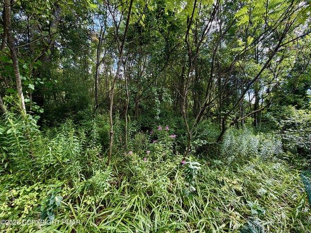 Land for sale in Old Hauto, Nesquehoning