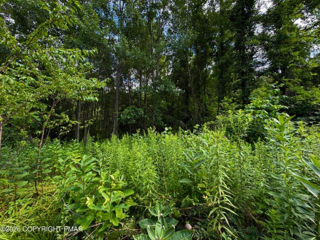 Land for sale in Carbon, Pennsylvania
