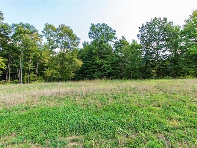 Land for sale in Medina