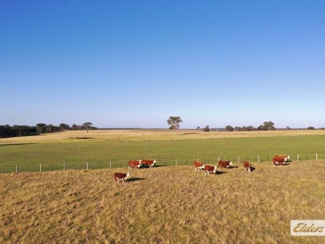 Cottage for sale in Stockdale, Victoria