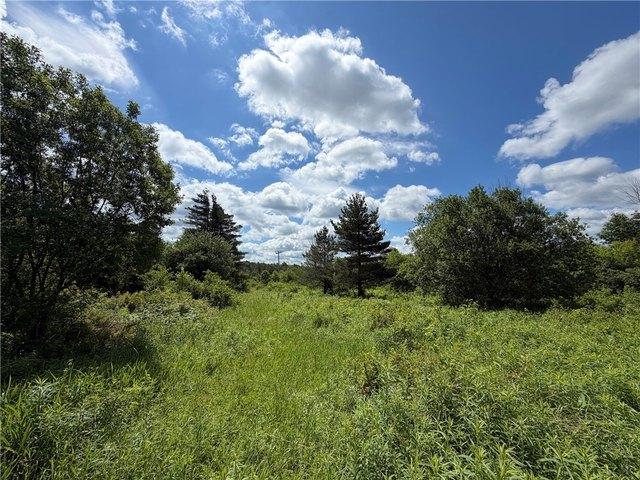 Land for sale in Cassadaga, New York