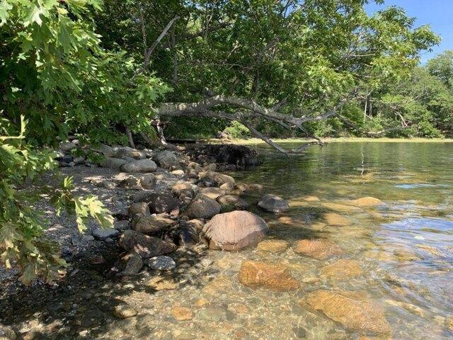 Land for sale in Waldo, Maine