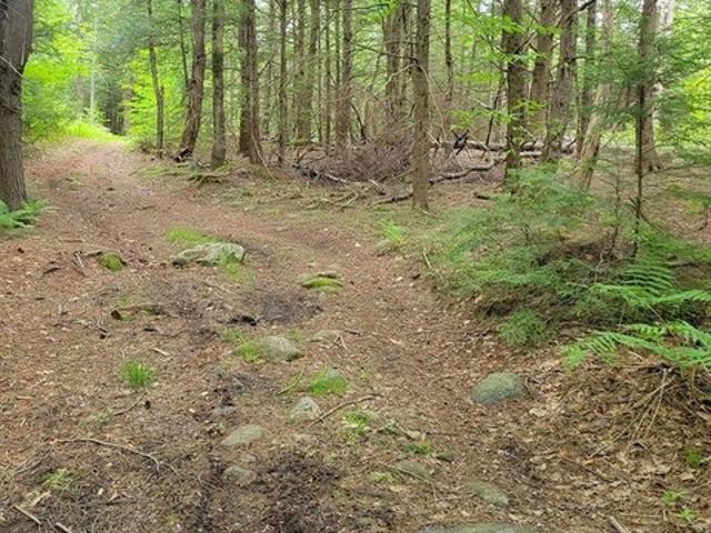 Land for sale in Royalston, Massachusetts