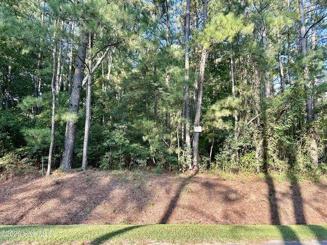 Land for sale in Rockingham, North Carolina