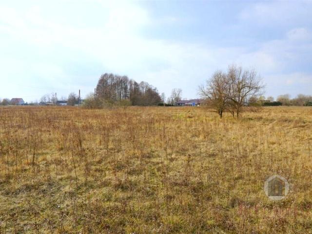 Grunt na sprzedaż w Krupczyn, Deszczno