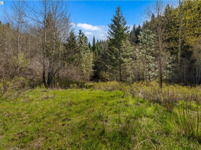 Land for sale in Trout Lake, Washington