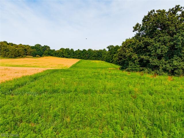 Land for sale in Navarre, Stark County