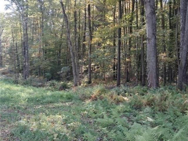 Farm for sale in Bernhards Bay, New York