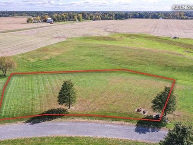 Land for sale in Brighton, Illinois