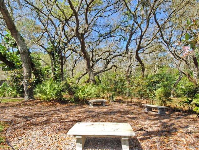 Apartment for rent in Tampa, Florida