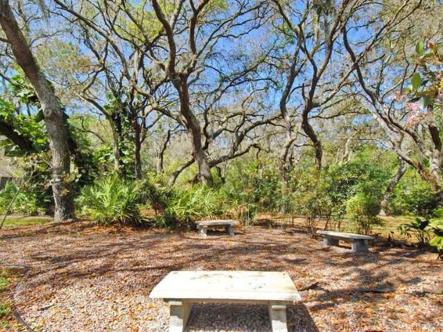 Apartment for rent in Tampa, Florida