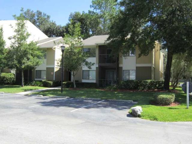 Apartment for rent in Tampa, Florida