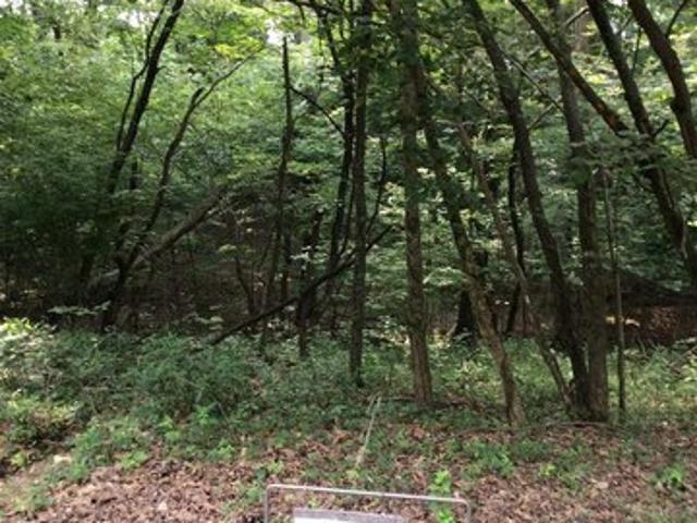 Land for sale in Dubois, Indiana
