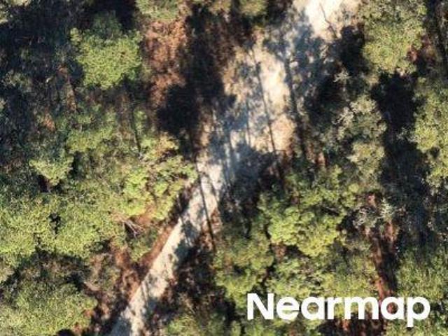 Land for sale in Webster, Florida