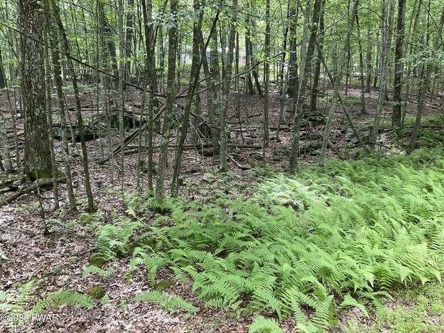 Land for sale in Hawley, Pennsylvania
