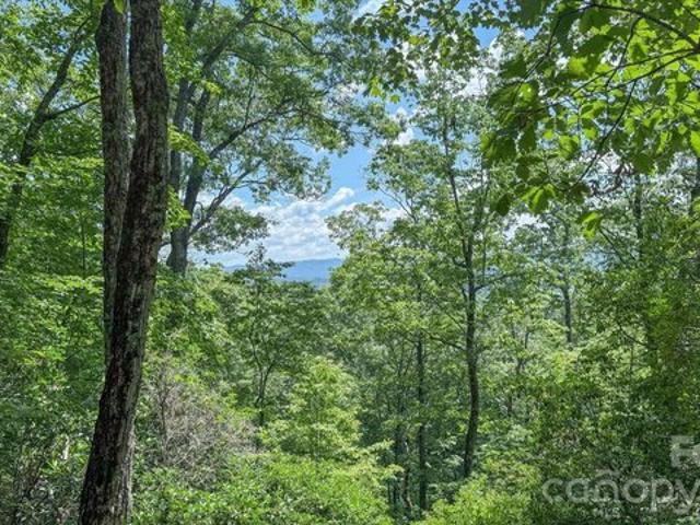 Land for sale in Transylvania, North Carolina