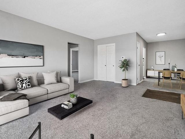 Apartment for rent in Stoughton, Massachusetts