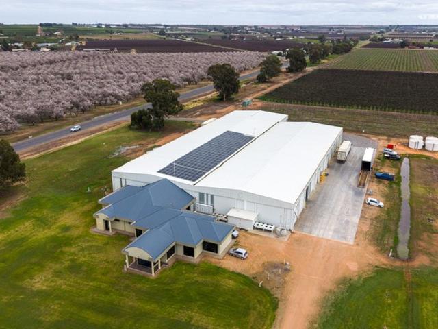 Property for sale in Renmark North, South Australia