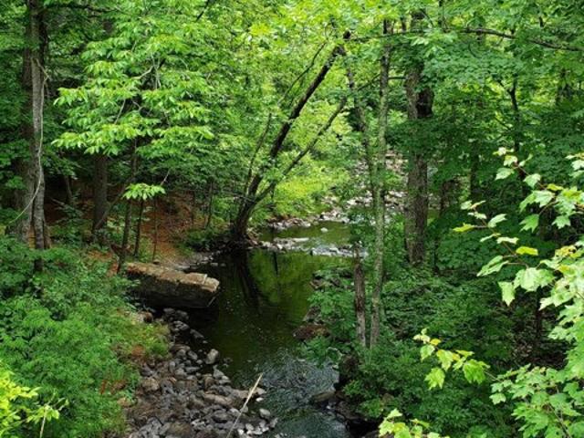 Land for sale in Limerick, Maine