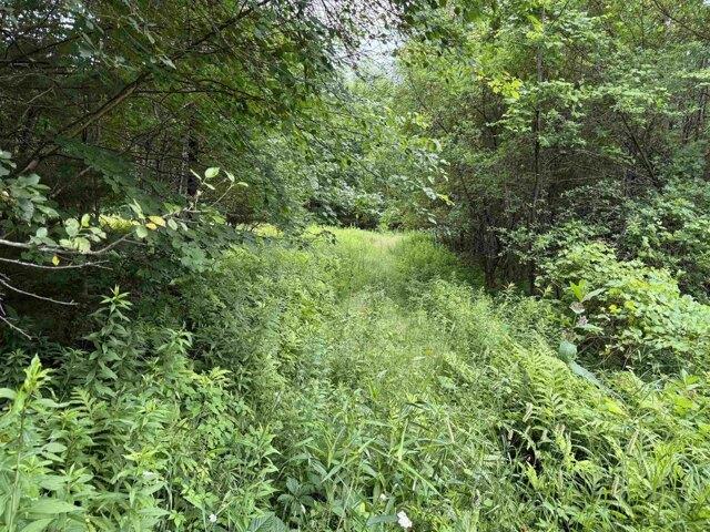Land for sale in New Hampshire