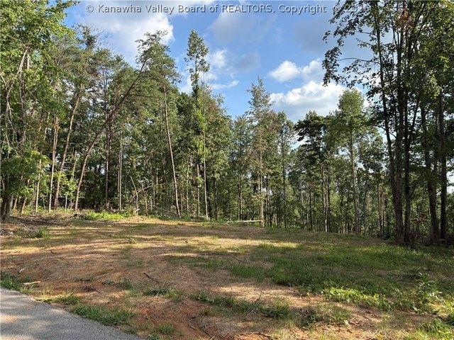 Land for sale in Kenna, West Virginia