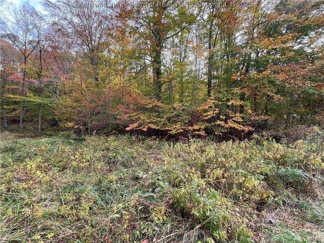 Land for sale in Kenna, West Virginia