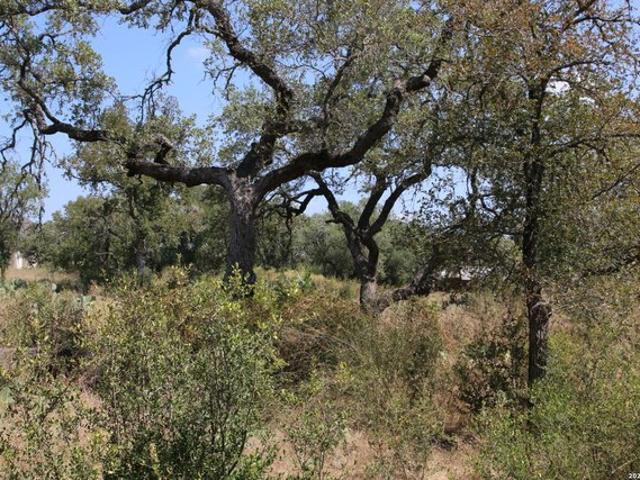 Land for sale in Castroville, Medina County