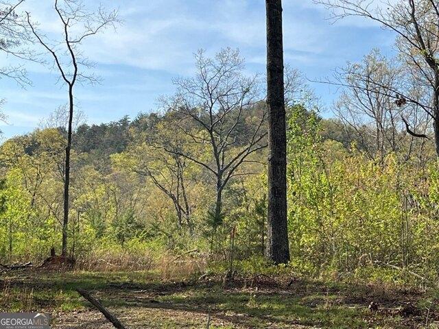 Land for sale in Ellijay