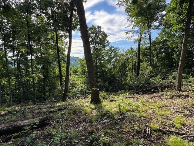 Land for sale in Danville, Ohio