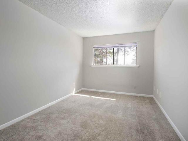 Apartment for rent in Columbia, South Carolina