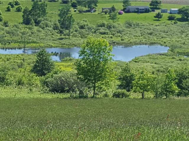 Land for sale in Cortland, New York