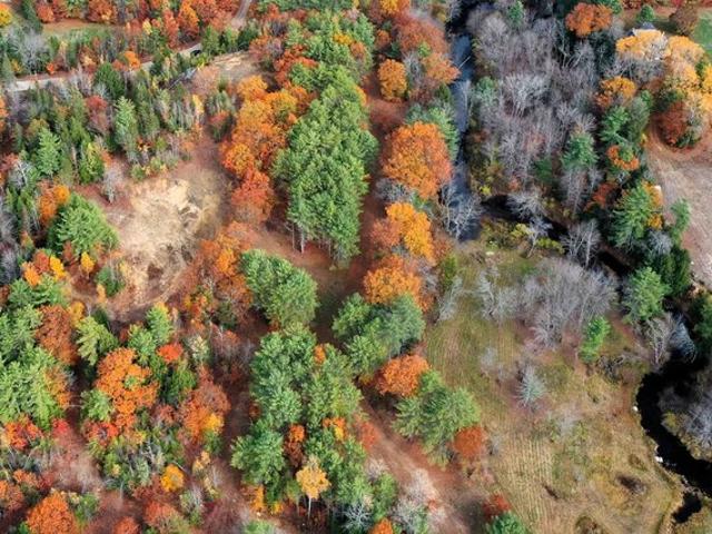 Land for sale in New Hampshire