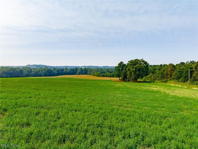 Land for sale in Navarre, Ohio
