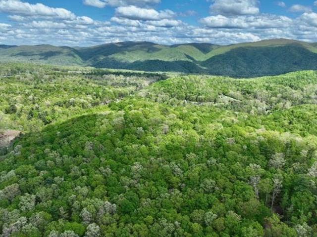 Land for sale in Caldwell, West Virginia
