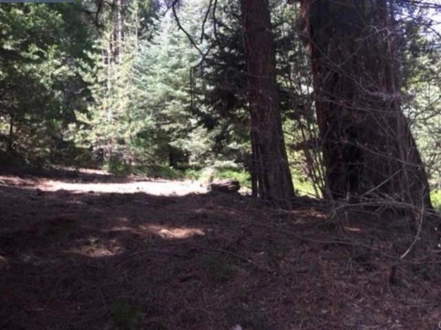 Land for sale in Cedar Glen