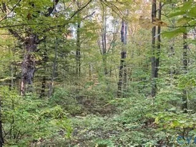 Land for sale in Virginia