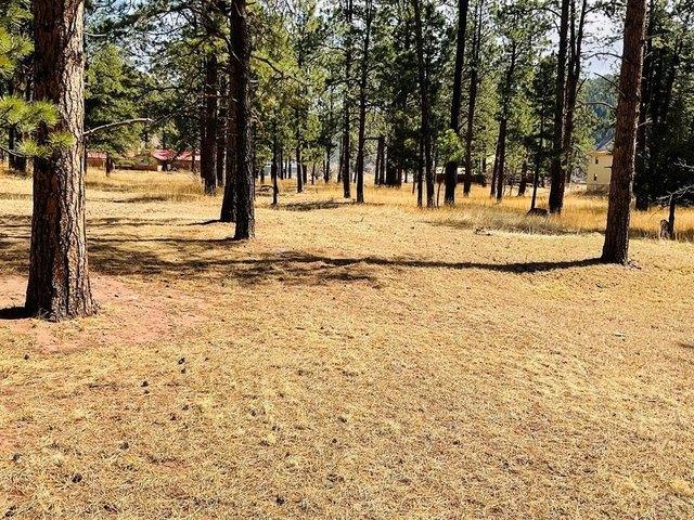 Land for sale in Colorado