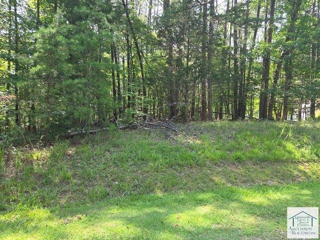 Land for sale in Virginia