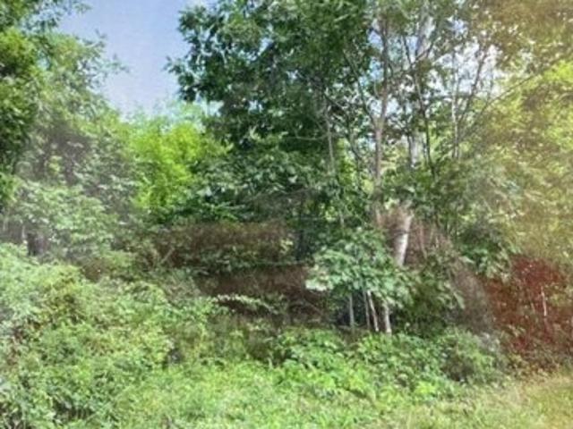 Land for sale in Damariscotta, Lincoln County
