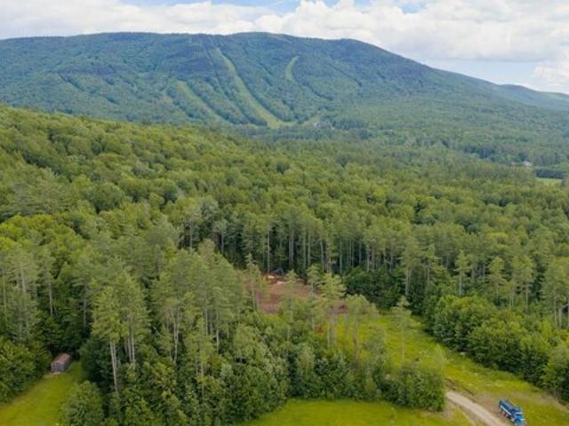 Land for sale in Londonderry, Vermont