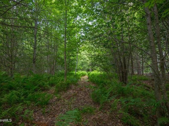 Land for sale in Berkshire, Massachusetts
