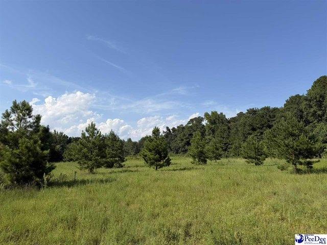 Land for sale in Dillon, South Carolina