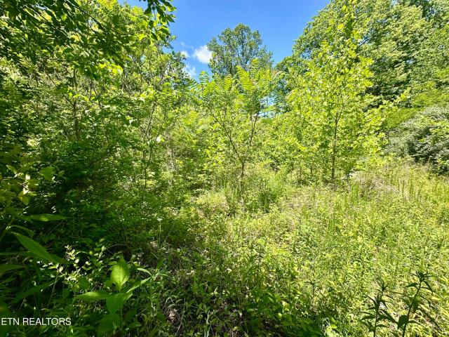 Land for sale in Tennessee